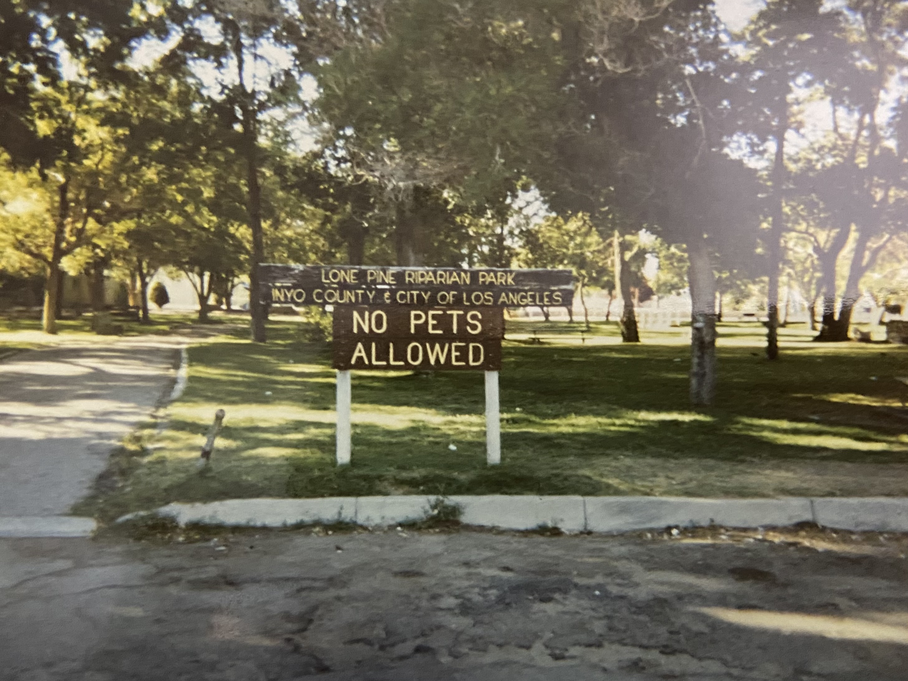 The entrance sign to Lone Pine Riparian Park, Inyo County and City of Los Angeles, reading NO PETS ALLOWED, with cottonwoods and mown grass behind it.