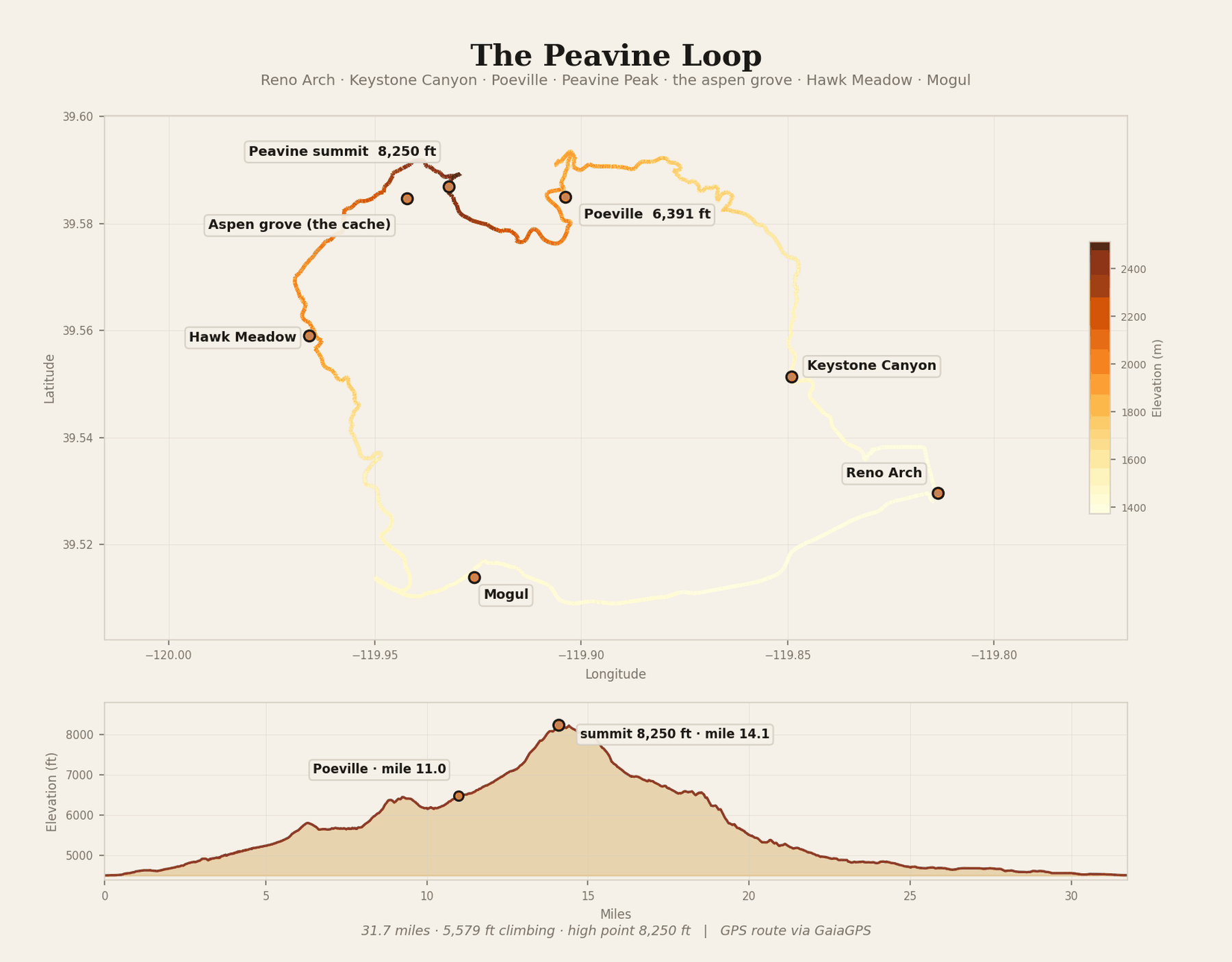 Two panels. Top: a map of the Peavine loop, a roughly circular 31.7-mile route northwest of Reno, colored by elevation from pale yellow at the low desert edges to dark brown at the summit. It runs anticlockwise from the Reno Arch in the southeast, north through Keystone Canyon, west along a high bench past Poeville at 6,391 feet, up to Peavine Peak at 8,250 feet, then down the western side past the aspen grove and Hawk Meadow before turning south to Mogul and back east along the valley floor. Bottom: an elevation profile of the same ride. It climbs steadily for the first eight miles, levels into a false summit near mile nine, dips, then climbs hard to the high point at mile 14.1, with Poeville marked at mile 11. The descent that follows is steeper and shorter than the climb, dropping back to valley level by mile 20 and running flat to the finish at mile 31.7.